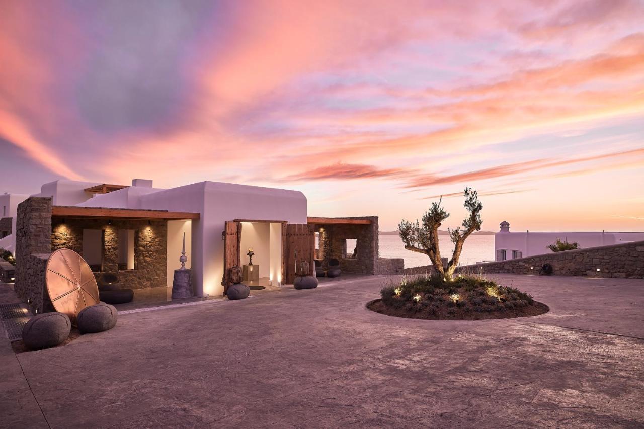 Amazon Mykonos Suites & Spa Agios Ioannis Diakoftis Extérieur photo